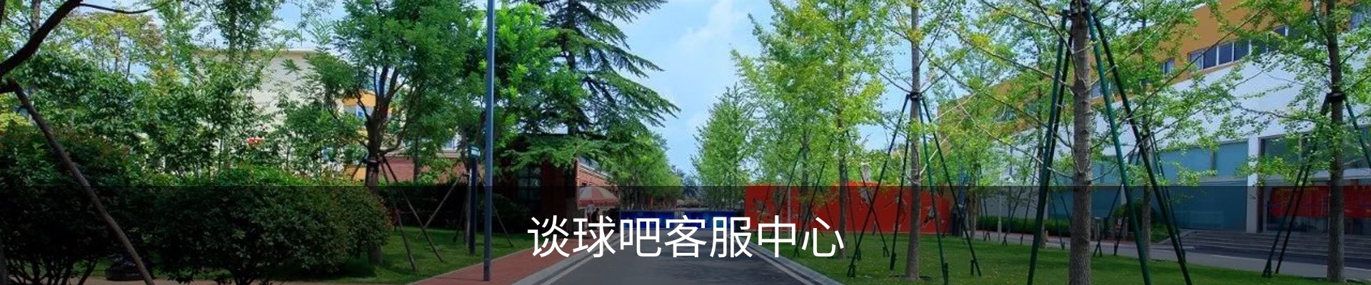 谈球吧客服中心